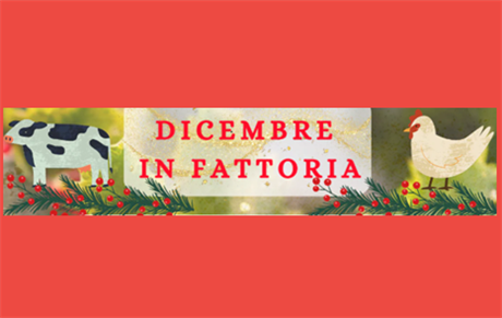 dicembre in fattoria